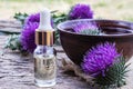 A bottle of tincture or potion`s essential oil and flowers of thistle on a wooden background