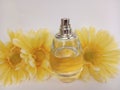 A bottle of unisex perfume with yellow daisies on a white background Royalty Free Stock Photo