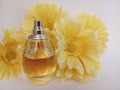 A bottle of unisex perfume with yellow daisies on a white background Royalty Free Stock Photo