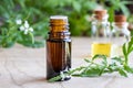 A bottle of vervain essential oil with blooming verbena officinalis Royalty Free Stock Photo