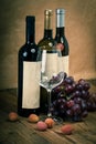 Bottle of vine with wine glass and grapes Royalty Free Stock Photo