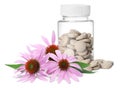 Bottle with vitamin pills and beautiful echinacea flowers on white background Royalty Free Stock Photo