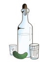 Bottle with vodka and cucumber vector illustration