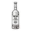 Bottle vodka monochrome vintage element