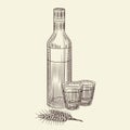 Bottle of vodka and two full shot drink. Hand drawn alcohol glass bottle sketch isolated Royalty Free Stock Photo