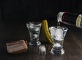 Bottle of vodka, two misted glasses with cold vodka on a wooden board with bacon and pickled cucumbers Royalty Free Stock Photo