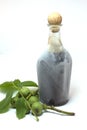 Bottle of walnut liqueur with nuts Royalty Free Stock Photo