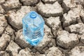 Bottle with water on the dried ground. Royalty Free Stock Photo