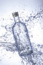 bottle water splash on white background Royalty Free Stock Photo