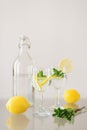 Bottle of water and two glasses of sparkling drink with lemon and mint