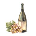 Bottle of white wine with bunch of grapes, grapevine Watercolour hand painting illustration Isolated Royalty Free Stock Photo