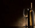 Bottle with white wine and glass Royalty Free Stock Photo