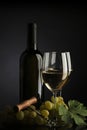 Bottle with white wine and glass and grapes Royalty Free Stock Photo