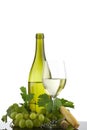 Bottle with white wine and glass and grapes Royalty Free Stock Photo