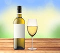 Bottle of white wine and glass on wooden table over nature Royalty Free Stock Photo