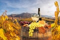 Bottle of white wine with glasses against Weissenkirchen village with autumn vineyards in Wachau valley, Austria