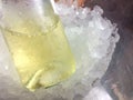 Bottle of white wine in ice bucket Royalty Free Stock Photo