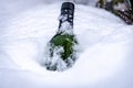 Bottle of white wine inserted in glass Royalty Free Stock Photo