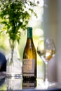 Bottle of white wine on summer terrace