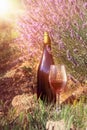 Bottle of wine against lavender landscape