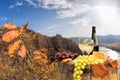 Bottle of wine on barrel against Duernstein castle close to Danube river during autumn in Wachau, Austria