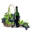 A bottle of wine and a basket of grapes Royalty Free Stock Photo