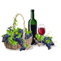 A bottle of wine and a basket of grapes Royalty Free Stock Photo