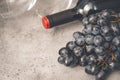 Bottle of wine, bunch of dark grapes, empty glass on a gray background closeup