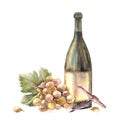 Bottle of wine with bunch of grapes, grapevine, corkscrew. Watercolour hand painting illustration Royalty Free Stock Photo