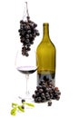 A bottle of wine and bunches of ripe grapes in a glass on a white background Royalty Free Stock Photo