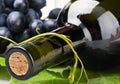 Bottle of wine close-up Royalty Free Stock Photo