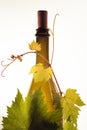 Bottle of wine corc cap grape leaves branch Royalty Free Stock Photo