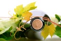 Bottle of wine corc cap grape leaves branch Royalty Free Stock Photo