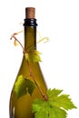 Bottle of wine corc cap grape leaves Royalty Free Stock Photo