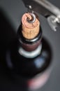 Bottle of wine and corkscrew close up, spiral is entering the cork, opening the bottle.