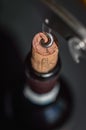 Bottle of wine and corkscrew close up, spiral is entering the cork, opening the bottle.