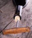 Bottle of wine and corkscrew Royalty Free Stock Photo