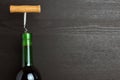bottle of wine and a corkscrew Royalty Free Stock Photo