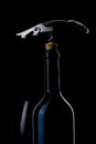 Bottle of wine on a black background.