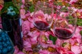 Bottle, wine glasses with blueberry in rose garden Royalty Free Stock Photo