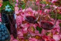 Bottle, wine glasses with blueberry in rose garden Royalty Free Stock Photo