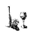 Bottle of wine, grape, glass of wine. Pencil still life