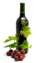 Bottle of wine with grape leafs and vine Royalty Free Stock Photo