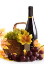 Bottle of wine with grapes in basket Royalty Free Stock Photo