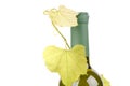bottle of wine with green leaf of grape