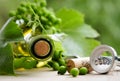 Bottle of wine and green leaves Royalty Free Stock Photo