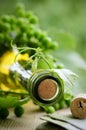 Bottle of wine and green leaves Royalty Free Stock Photo