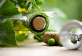 Bottle of wine and green leaves Royalty Free Stock Photo