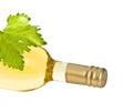 Bottle of wine with leaf Royalty Free Stock Photo
