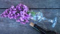 A bottle of wine and a sprig of lilac.